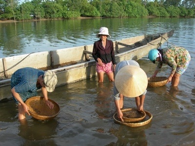 Sông Lam "khát" hến - 1 Người dân đãi hến trên sông Lam.