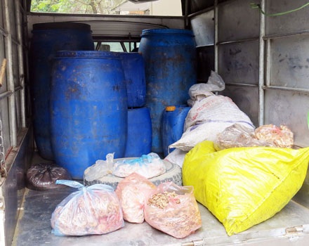 Nửa tấn nội tạng, mỡ lợn bốc mùi nhưng vẫn được chủ hàng chở đi tiêu thụ để kiếm lời