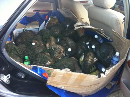 Một vụ buôn bán tê tê trái pháp bị cơ quan chức năng phát hiện và bắt giữ