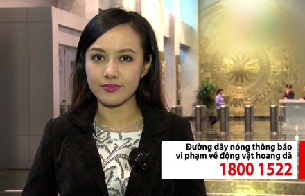 Biên tập viên Hoài Anh lên tiếng đấu tranh nạn buôn bán trái phép tê tê