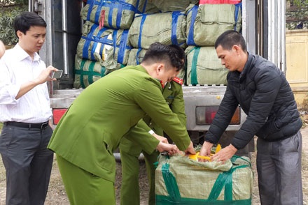 Bắt giữ 6 tấn hải sản tuồn từ Trung Quốc vào Việt Nam tiêu thụ - 1 Bắt giữ 6 tấn hải sản tuồn từ Trung Quốc vào Việt Nam tiêu thụ
