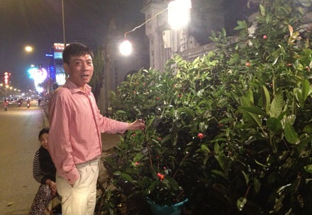 Người dân chọn cành lộc ngay trước cửa chùa Kim Sơn trên phố Kim Mã - Giang Văn Minh.