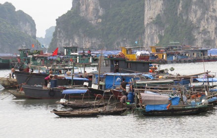 Hàng trăm du khách “kẹt” ở Quan Lạn, đảo Cô Tô do bão số 1 - 3 Tàu thuyền của ngư dân tập trung neo đậu tránh bão.