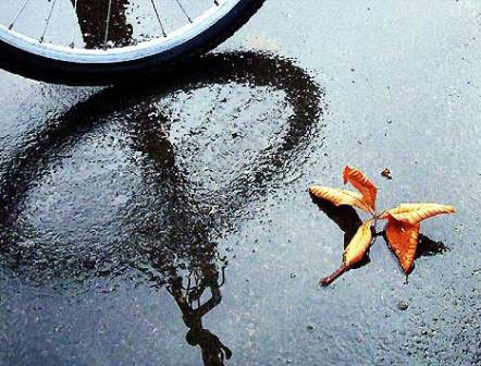 Năm bảy đường thật thà khi yêu - 1