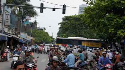 Ô tô bị cây cổ thụ bật rễ đè bẹp   - 3