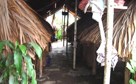 Rộ nạn cà phê kích dục - 2 Rộ nạn cà phê kích dục