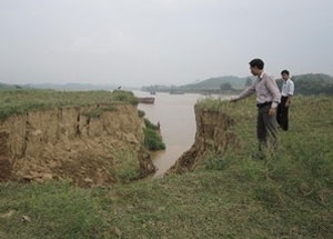 3 người thương vong khi thi công kè bờ tây sông Lô - 1 3 người thương vong khi thi công kè bờ tây sông Lô