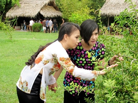 Cát Phượng giúp Cẩm Ly đi “tìm chồng” - 3 Độc giả có thể xem MV