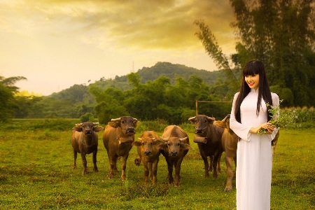 "Hoa hậu trả vương miện" e ấp trên đồng cỏ quê hương - 4 Hiện tại, Triệu Thị Hà cho biết cuộc sống đã trở lại bình thường