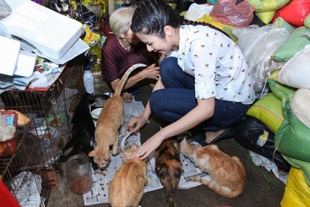 Hoa hậu Ngọc Hân thăm cụ bà neo đơn cưu mang chó mèo bị bỏ rơi - 11 Ngọc Hân cùng với cụ bà cho các chú mèo ăn.