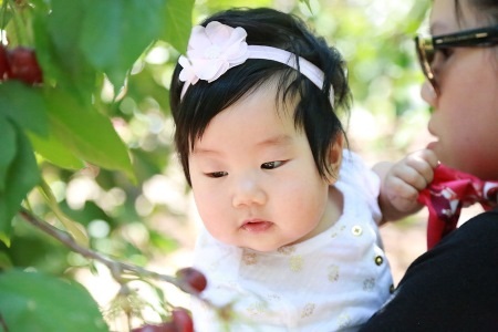 Trương Minh Cường hạnh phúc cùng vợ con ở Mỹ