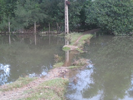 Dân phấp phỏng lo sau sự cố vỡ kênh thoát lũ - 1 Nhiều tuyến đường giao thông trong xã vẫn còn bị ngập nước