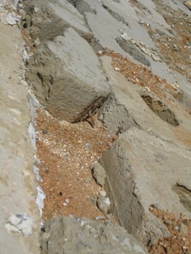 Nhiều đoạn công trình chưa nghiệm thu đã hư hỏng...