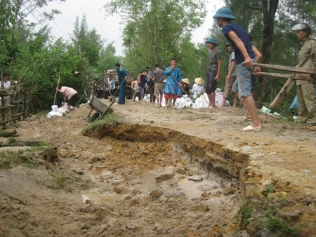 Sạt lở khe chống lũ, người dân sơ tán trong đêm - 4 Đất cát bị sạt lở phủ lấp hoa màu của nhiều hộ dân
