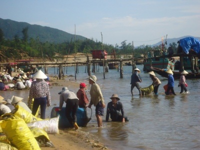 Hà Tĩnh: Mưu sinh  nhờ lộc biển - 1 Khi tàu vừa cập bờ