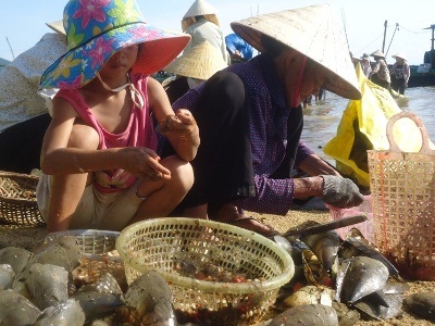 Hà Tĩnh: Mưu sinh  nhờ lộc biển - 8 Một già, một trẻ cũng mưu sinh tại đây