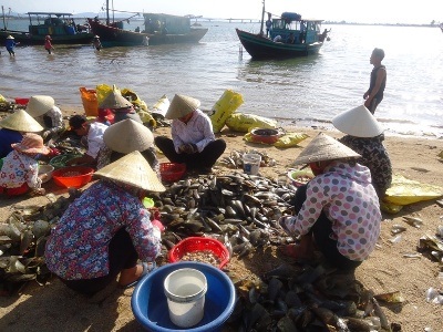 Hà Tĩnh: Mưu sinh  nhờ lộc biển - 3 Tổ chức thành từng tổ để sơ chế đạt năng suất cao