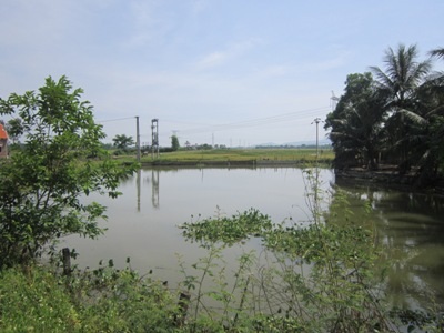 Khu vực xảy ra sự việc thương tâm