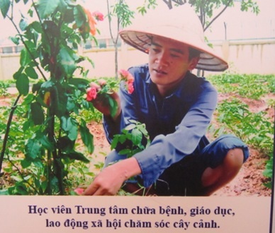 Một số hình ảnh trưng bày tại lễ triển lãm