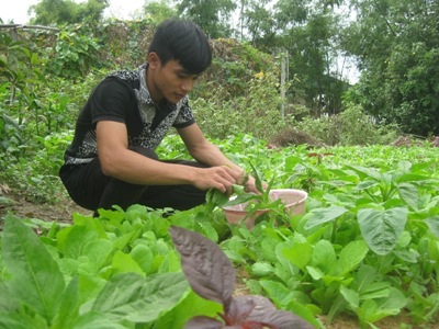 Gặp thủ khoa nghèo 12 năm tự học ở nhà - 2 Đạt hái rau ra chợ giúp mẹ.