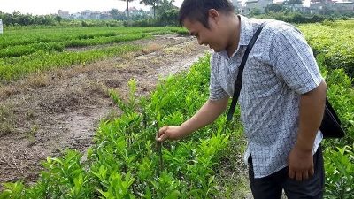 Vượt tật nguyền, thạc sĩ 9X thành triệu phú - 5 Một trong những vườm ươm cây ăn trái của Trần Kim Việt