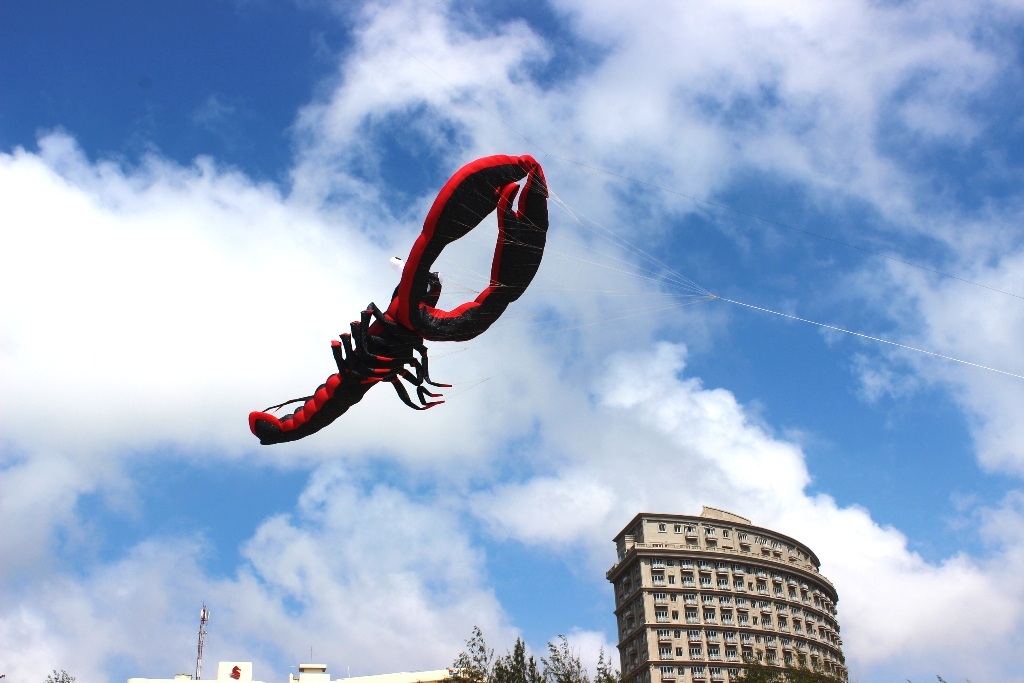 Vất vả thả diều “khủng” dài trăm mét - 4 Diều
năm nay được tạo hình những con vật hết sức độc đáo, ngộ nghĩnh