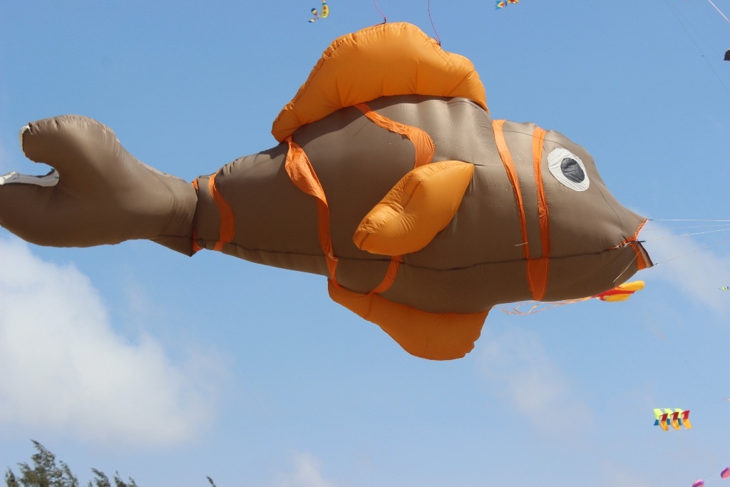 Vất vả thả diều “khủng” dài trăm mét - 6 Diều
năm nay được tạo hình những con vật hết sức độc đáo, ngộ nghĩnh