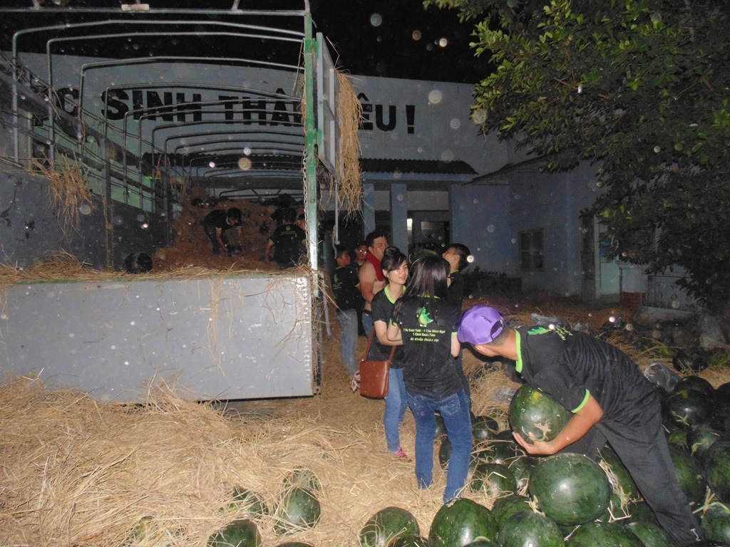 Dưa được chuyển từ miền
Trung vào Sài Gòn