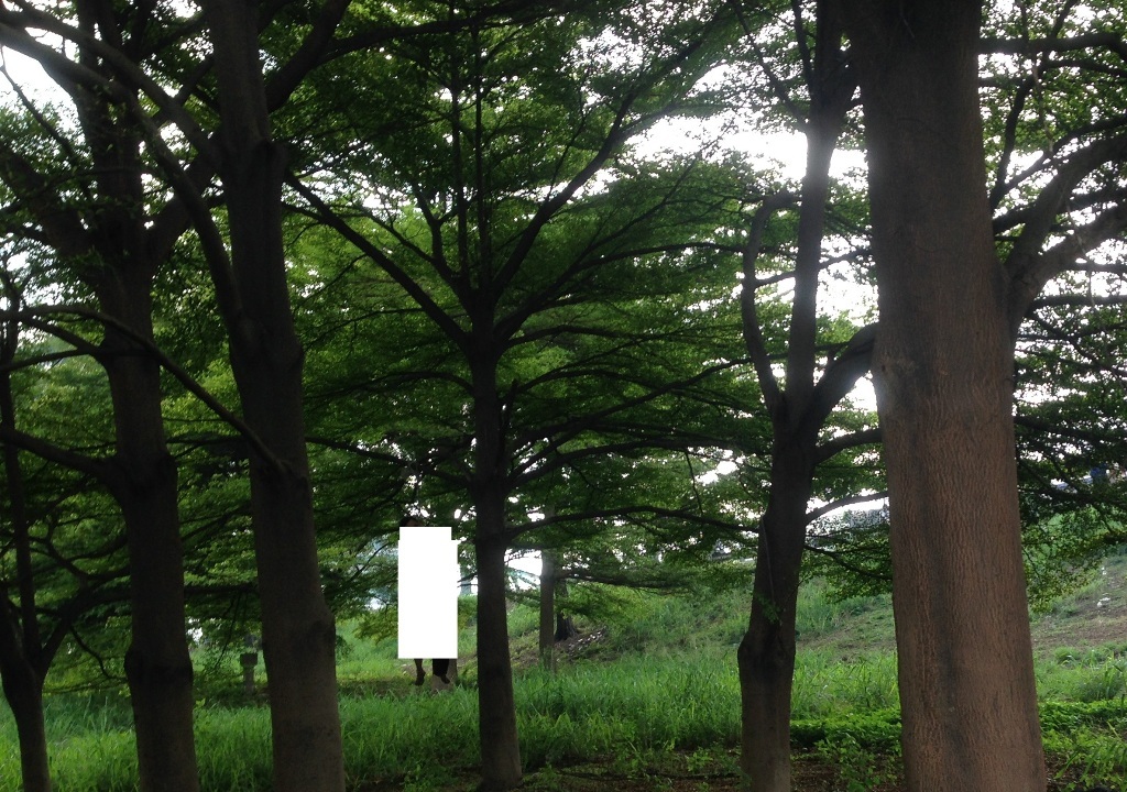 Người dân phát hiện thi thể thanh niên trong tư thế treo cổ trên cây