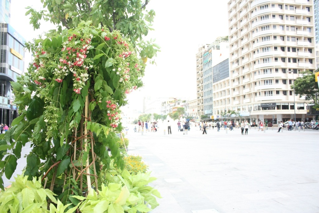 Người Sài Gòn hào hứng trải nghiệm phố đi bộ đầu tiên - 4 Nhiều bồn hoa di động được tăng cường để tăng mỹ quan và phủ thêm mảng xanh