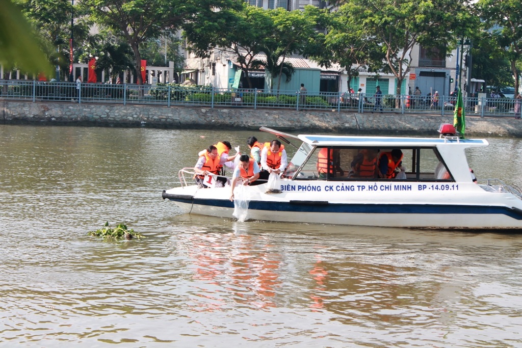 Thả nửa triệu con cá giống xuống kênh Tàu Hũ - Bến Nghé - 1 Thả nửa triệu con cá giống xuống kênh Tàu Hũ - Bến Nghé