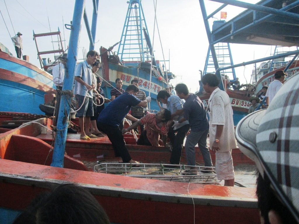 Điều tra nguyên nhân 4 thuyền viên tử vong trong hầm cá - 1 Thi thể 4 thuyền viên xấu số được đưa vào bờ chiều 24/4