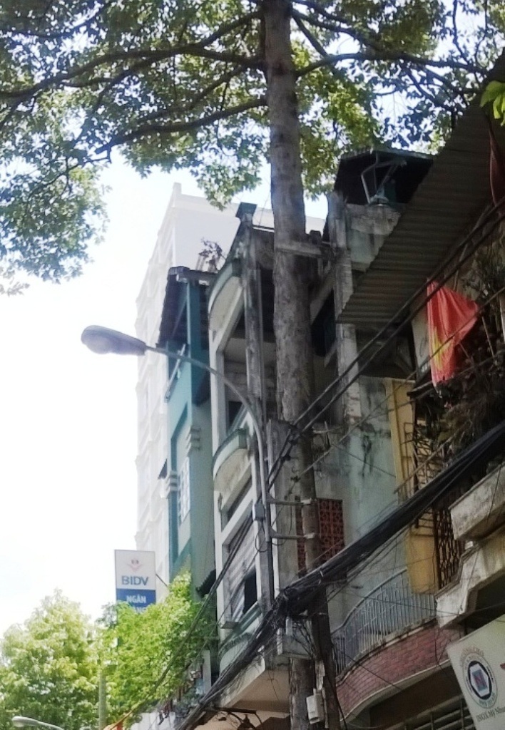 Tháo dỡ nhà xây sai phép để cứu cây xanh - 3 Tầng 1,2 ngôi nhà 396 đã “vươn” ra ngoài cây Dầu cổ thụ