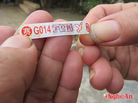 Xuất hiện bồ câu "đưa thư" có chữ lạ - 2 Vòng số quấn quanh
chân bồ câu
