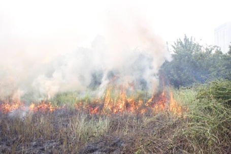Nguyễn Hiền - Gia Chính