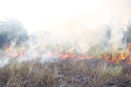 Nguyễn Hiền - Gia Chính