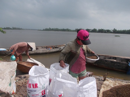 1.000 đồng/kg hến