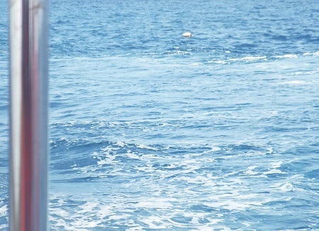 “Quần thảo” trên biển tìm kiếm 8 thủy thủ mất tích