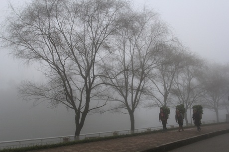 Những người phụ nữ Sa Pa cần mẫn lấy thức ăn cho gia súc.