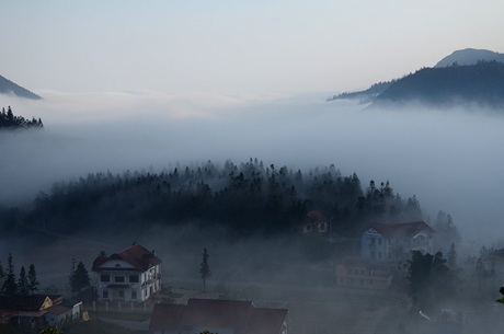 Đồi thông trong sương!