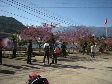 Phạm Ngọc Triển