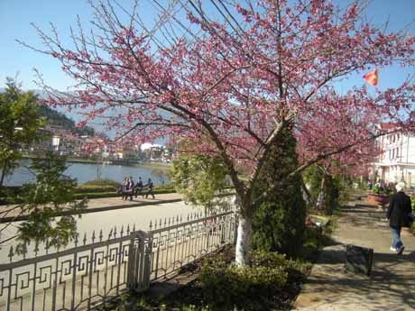 Phạm Ngọc Triển