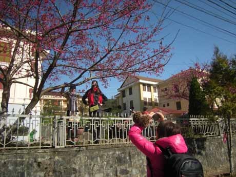 Phạm Ngọc Triển