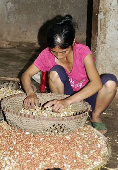 Cảm động chuyện hai chị em gái chung chồng - 2 Ngoài những lúc làm đồng, chị Hạnh cũng phụ em gái bóc lạc
thuê để lo cho gia đình.