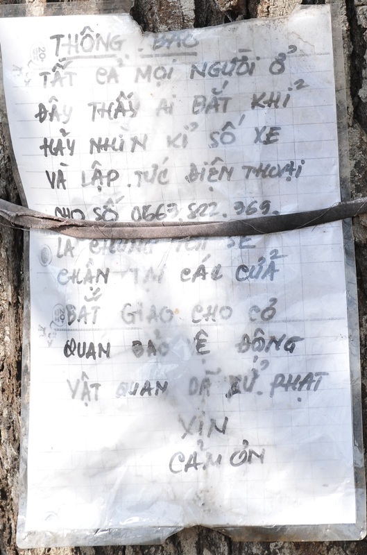 Giấy cảnh giác, bảo vệ đàn khỉ do bà N. viết cột lên cây.