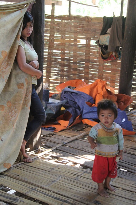 Ở Nậm Củm, đến quả đu
đủ cũng sợ mất.