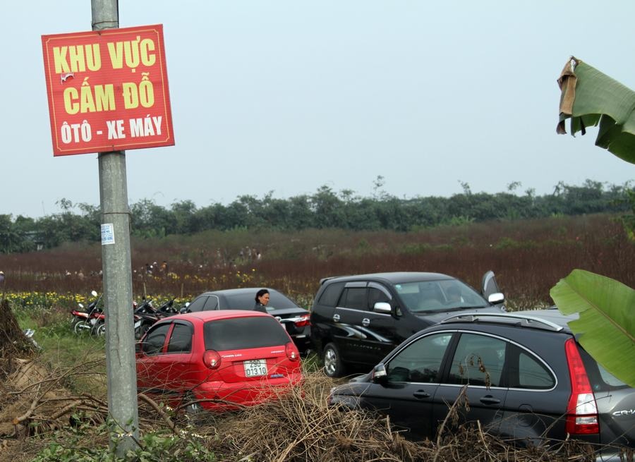 Giới trẻ đổ xô đi chụp ảnh, đường ra bãi đá tắc hàng giờ - 11 Giá vé gửi xe ô tô 50.000 đồng/ chiếc.