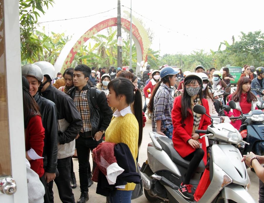 Giới trẻ đổ xô đi chụp ảnh, đường ra bãi đá tắc hàng giờ - 7 Xe cộ đi lại khiến đào bị gẫy khá nhiều.
