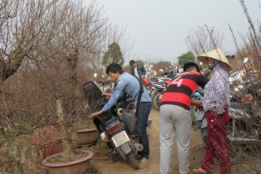 Giới trẻ đổ xô đi chụp ảnh, đường ra bãi đá tắc hàng giờ - 10 Khách hàng gửi xe ngay tại các vườn đào với giá 10.000 đồng/chiếc.
