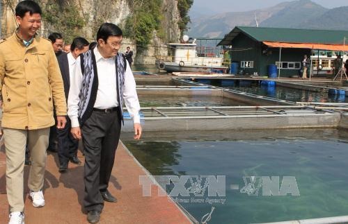 Chủ tịch nước thăm, làm việc tại tỉnh Hòa Bình